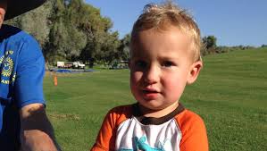 Sunnylands Olive Harvest