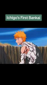 The Gotei 13 & The Visored Vs. Sōsuke Aizen | Bleach Wiki | Fandom