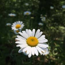 We find prices are often lower during , so this could be the best time to find a cabin bargain. White Sulphur Springs Wv Vacation Rentals Cabin Rentals More Vrbo