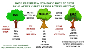 Wood To Chew In 2020 African Grey Parrot Small Birds African Grey