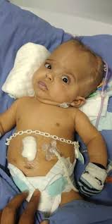 Sandra Spalla Mello Tinoco