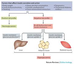 Pin On Endocrinology