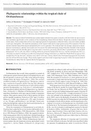 Image result for Sopubia conferta