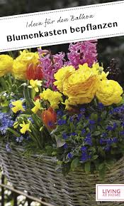 Balkonkasten Mit Ranunkeln Und Vergissmeinnicht Bild 2 In 2020 Blumenkasten Blumen Fruhling Blumen