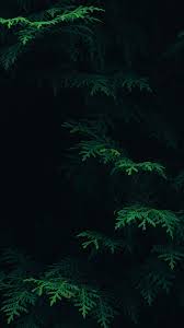 Iphone wallpapersiphone ringtonesandroid wallpapersandroid ringtonescool backgroundsiphone backgroundsandroid backgrounds. 50 Aesthetic Dark Wallpapers For Iphone Free Hd Download