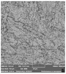 Image result for bulat steel micrograph