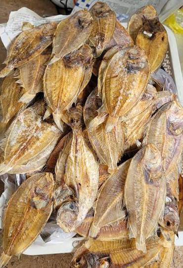KHÔ CÁ NGỘ còn gọi là KHÔ CÁ DẢNH chuyên dùng để nấu Nước lèo hủ tíu, hoành  thánh, mì Tàu của các quán hủ tiếu mì, nhà hàng của người Hoa
