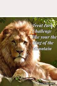 King Of The Mountain Motivational Quotes Inspirational Motivational Quotes For Life Courage Quotes Wise Quotes