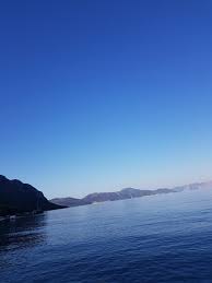 Bahcede Hamak Keyfi Picture Of Mavi Akvaryum Otel Sogut Tripadvisor