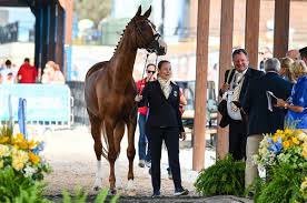 On 30 august 2018 isabell werth, the world's number one grand prix rider, published her biography titled vier beine tragen meine seele (four legs carry my soul). This Has Been My Dream For Four Years Why Isabell Werth Rates Bella Rose As The Best She S Ever Had Horse Hound