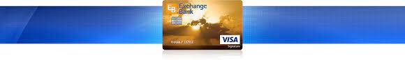 Promotional financing can help make a big purchase more manageable with monthly payments. Consumer Credit Cards Exchange Bank
