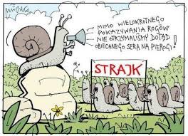 images?q=tbn:ANd9GcSFuS3wjvMtjnsd1rpf5CI