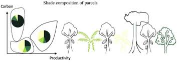 Our pest management singapore services can deal with all the unwanted critters in your home or office, so just give us a call! Co Benefits And Trade Offs Of Agroforestry For Climate Change Mitigation And Other Sustainability Goals In West Africa Sciencedirect