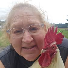 Snake identification in Arizona near Phoenix