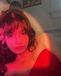 🇧🇷🏝️👙🐆