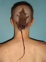 At memesmonkey.com find thousands of memes categorized into thousands of categories. 15 Bizarre Haircuts Funny Haircuts Strange Haircuts Oddee