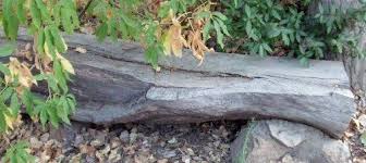 Using the speed square as a guide, cut out the triangles. How To Build A Simple Easy Garden Bench Or Seat