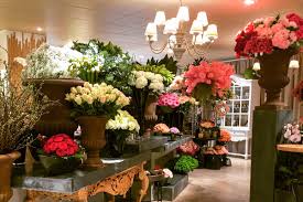 Jardin D Ombres La Cuisine De Ryan