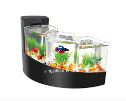 Straight up, this is wrong. China Custom Acrylic Fish Tank Aquarium Kit Small Betta Fish Tank China Fish Tank And Acrylic Fish Tank Price