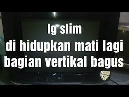 3) setelah layar bisa nyala dan tv sudah keluar gambanya , beberapa detik mati ptotek lagi. Tv Lg Slim Hidup Sebentar Mati Lagi Youtube