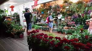 Blk 506 Tampines Central 1 Plant Shop Youtube Plants Different Plants Plant Nursery