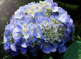 [Hình: images?q=tbn:ANd9GcSFufaMr1xKoQsspnxAirn...0&usqp=CAU]
