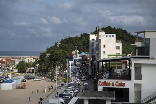 안목해변 커피거리 사진 5