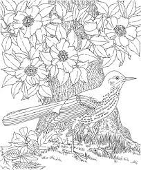 Select from 36755 printable coloring pages of cartoons, animals, nature, bible and many more. Free Printable Coloring Pages Of Birds And Flowers Coloring And Malvorlagan