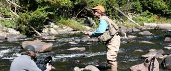 Learn basic knots, casting fly selection, how to find trout in streams and much more. Orvis Guide To Fly Fishing The New Fly Fisher Television Show