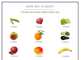 31 Unusual Pregnancy Fruit Size Chart