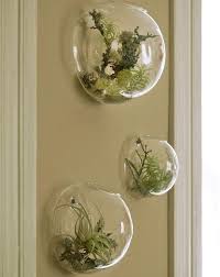 Allmodern.com has been visited by 100k+ users in the past month Buy Set Of 3 Wall Hanging Terrariums Indoor Plants Holders Wall Glass Vase For Flowers Wall Mounted Planters For Succulents Air Plants Wall Decoration For Sunroom Living Room Online In Indonesia B07tycx8kn