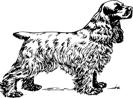 Free Image On Pixabay Dog Pet Fur Breed Spaniel Dog Clip Art Cocker Spaniel Images Spaniel