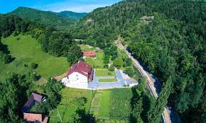 Oferta cazare vila floare de colt, cazare baile herculane, cazare caras severin, cazare valea cernei, pensiuni caras severin, pensiuni valea cernei. Pensiunea Floare De Colt Poiana Galdei Alba Iulia