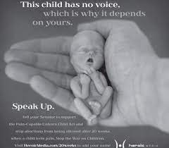 La Times Refuses To Run 20 Week Old Unborn Baby Ad California Catholic Daily