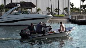 Image result for Red Marina 1994 UMM