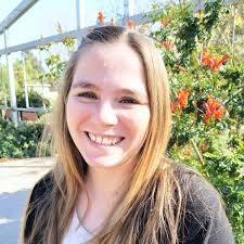 Aromatherapy and the Beehive