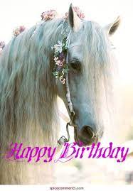 Horse lover happy birthday horse images. 20 Happy Birthday Horse Ideas Happy Birthday Horse Happy Birthday Birthday