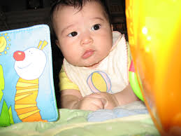 The Library Book — Dr. Bookworm