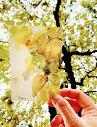 Profile for Carmen Perdomo