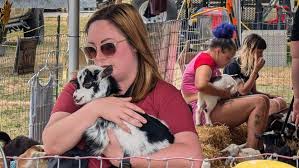 York & Adams County PA property transfers