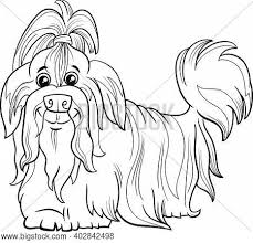 Patience is important as housebreaking may be difficult. Shih Tzu Puppy Draw Images Illustrations Vectors Free Bigstock