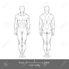 The quadriceps muscle attachment points. Healthy Young Man From Front And Back View In Outline Style Royalty Free Cliparts Vectors And Stock Illustration Image 56086578
