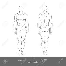 Healthy Young Man From Front And Back View In Outline Style Royalty Free Cliparts Vectors And Stock Illustration Image 56086578 Not only is it among the most sophisticated animal structures in nature, it is also one of those with most variations: healthy young man from front and back view in outline style
