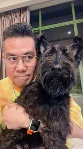 Harry Yew (@harryewhw) • Threads, Say more