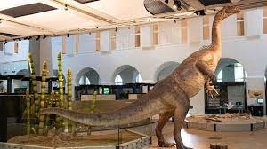 Hoteles en zúrich cerca de zoologisches museum zürich. Uzh Media Einheimischer Dino Ist Neuer Museums Blickfang