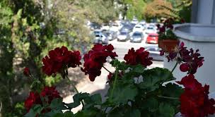 Where is casa de oaspeți sfântul nicolae located? Casa De Oaspeti Sfantul Nicolae Iasi Rumanien Preise 2020 Agoda