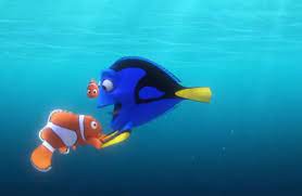 Lanzan Nuevo Adelanto De La Pelicula Buscando A Dory Crhoy Com Buscando A Dory Pelicula Buscando A Dory Buscando A Nemo