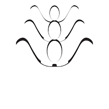 Chiropractic Health Clinic