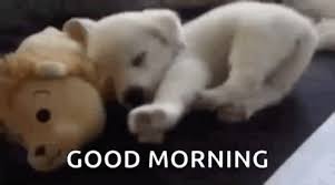 Search, discover and share your favorite tenor gifs. Guten Morgen Gifs Tenor