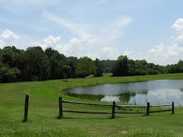Maybe you would like to learn more about one of these? Saddle Creek Park Campground Home Facebook